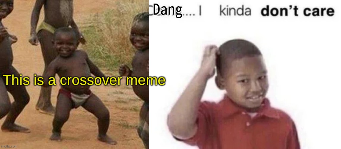 lol | Dang; This is a crossover meme | image tagged in memes,third world success kid | made w/ Imgflip meme maker