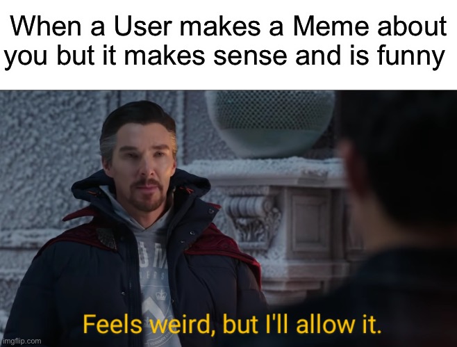 E | When a User makes a Meme about you but it makes sense and is funny | image tagged in feels weird but i'll allow it | made w/ Imgflip meme maker