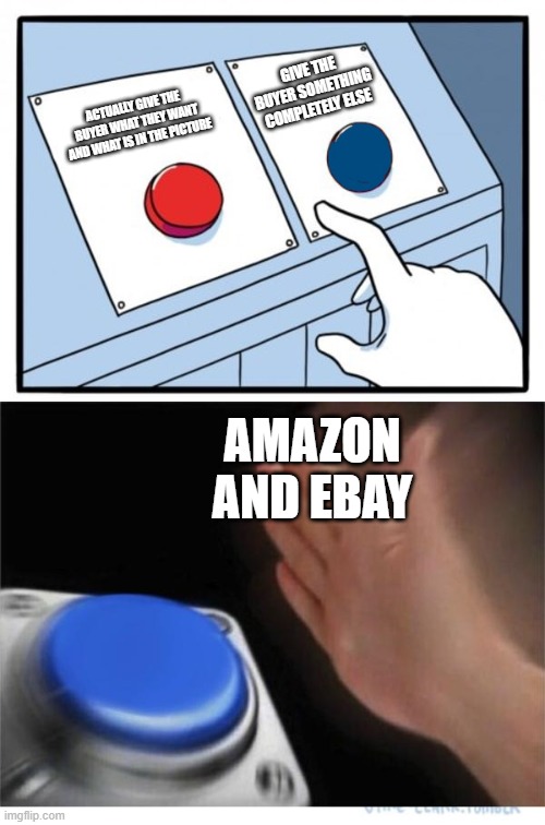 AMAZON EBAY RUH OH | GIVE THE BUYER SOMETHING COMPLETELY ELSE; ACTUALLY GIVE THE BUYER WHAT THEY WANT AND WHAT IS IN THE PICTURE; AMAZON AND EBAY | image tagged in two buttons 1 blue | made w/ Imgflip meme maker