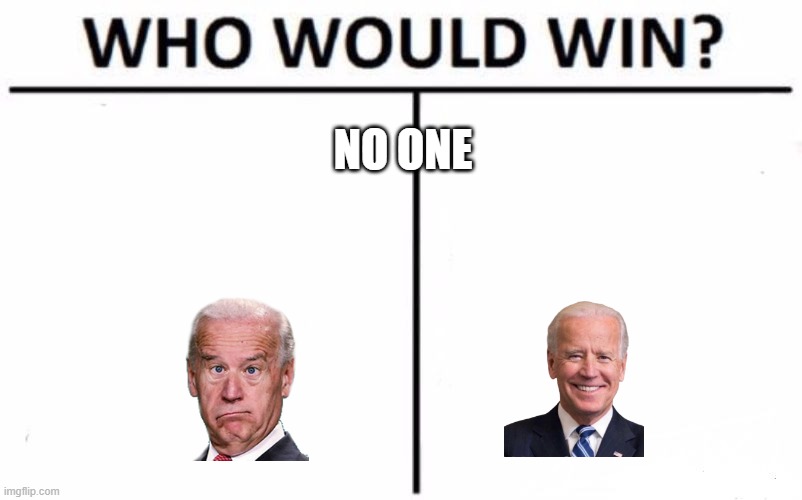 Who Would Win? Meme | NO ONE | image tagged in memes,who would win | made w/ Imgflip meme maker