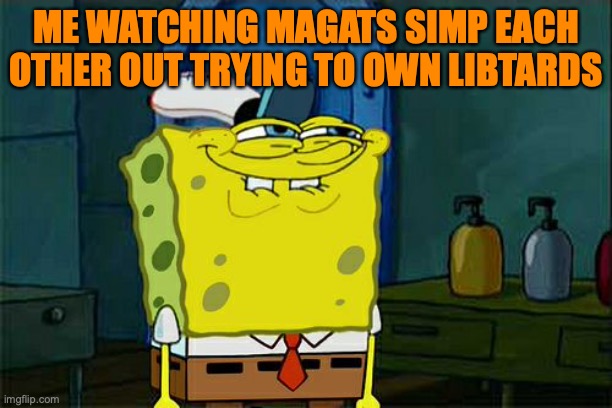 Don't You Squidward | ME WATCHING MAGATS SIMP EACH OTHER OUT TRYING TO OWN LIBTARDS | image tagged in memes,don't you squidward | made w/ Imgflip meme maker