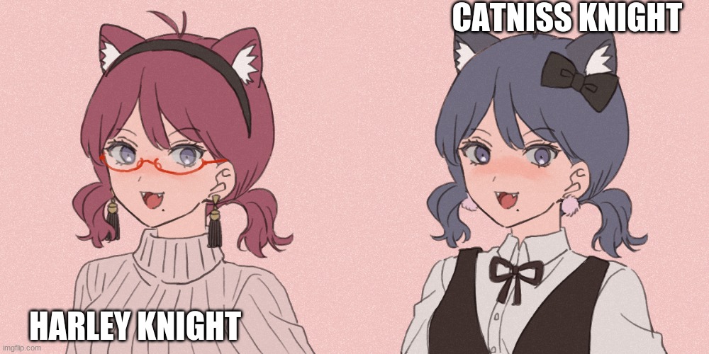 These two are twins, idc what rp | CATNISS KNIGHT; HARLEY KNIGHT | made w/ Imgflip meme maker