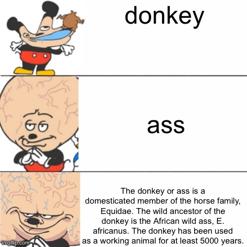 A mokey meme | donkey; ass; The donkey or ass is a domesticated member of the horse family, Equidae. The wild ancestor of the donkey is the African wild ass, E. africanus. The donkey has been used as a working animal for at least 5000 years. | image tagged in expanding brain mokey | made w/ Imgflip meme maker