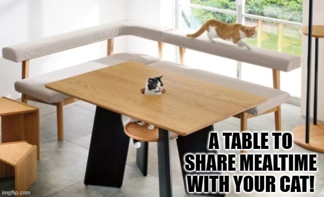 Mealtime with your cat! | A TABLE TO SHARE MEALTIME WITH YOUR CAT! | image tagged in cats | made w/ Imgflip meme maker