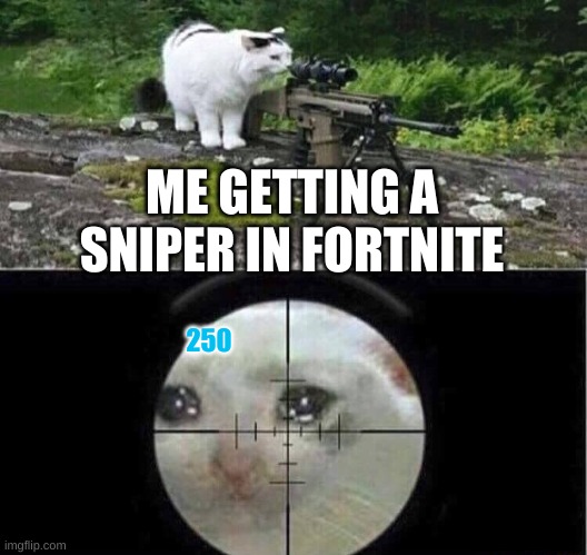 250 headshot boxed like a fishsy boi | ME GETTING A SNIPER IN FORTNITE; 250 | image tagged in sniper cat,fortnite memes,sniper | made w/ Imgflip meme maker