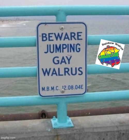 lol | image tagged in gay walrus,lol so funny,i am the walrus | made w/ Imgflip meme maker