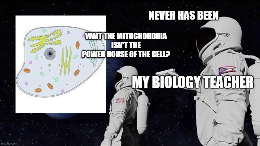 Meme #1 | NEVER HAS BEEN; WAIT THE MITOCHORDRIA ISN'T THE POWER HOUSE OF THE CELL? MY BIOLOGY TEACHER | image tagged in memes,always has been | made w/ Imgflip meme maker