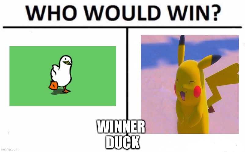Most grueling battle ever | WINNER 
DUCK | image tagged in memes,who would win | made w/ Imgflip meme maker