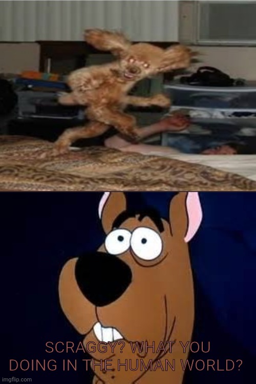 Oh shoot | SCRAGGY? WHAT YOU DOING IN THE HUMAN WORLD? | image tagged in scooby doo surprised | made w/ Imgflip meme maker