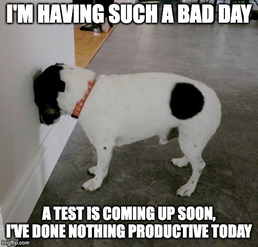 . | I'M HAVING SUCH A BAD DAY; A TEST IS COMING UP SOON, I'VE DONE NOTHING PRODUCTIVE TODAY | image tagged in bad day | made w/ Imgflip meme maker