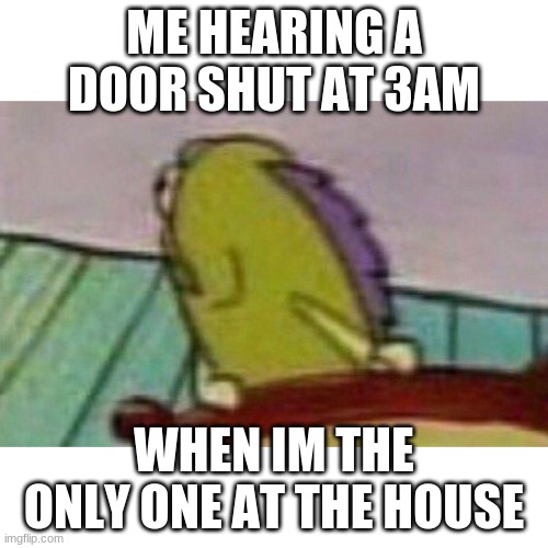 hol' up | ME HEARING A DOOR SHUT AT 3AM; WHEN IM THE ONLY ONE AT THE HOUSE | image tagged in fish looking back | made w/ Imgflip meme maker
