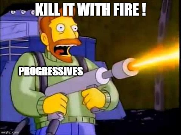 Kill it with fire | KILL IT WITH FIRE ! PROGRESSIVES | image tagged in kill it with fire | made w/ Imgflip meme maker