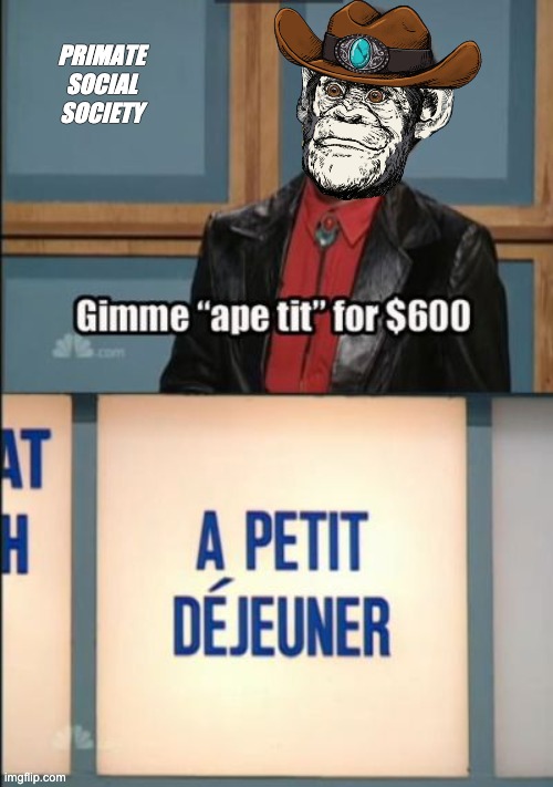 Primate Social Society | PRIMATE SOCIAL SOCIETY | image tagged in funny,jeopardy,monkey,saturday night live,sean connery,will ferrell | made w/ Imgflip meme maker