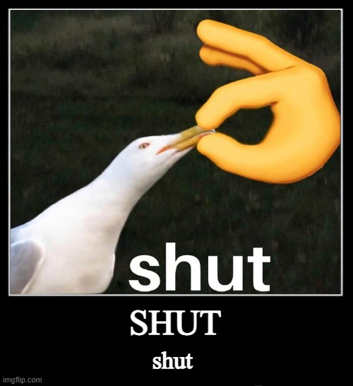 shut | SHUT; shut | image tagged in ending,shut | made w/ Imgflip meme maker