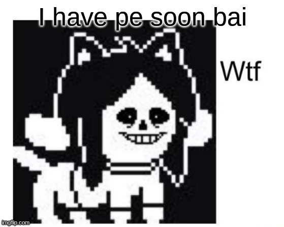 ima hope i dont get my shorts pulled down or get hit by something | I have pe soon bai | image tagged in wtf | made w/ Imgflip meme maker
