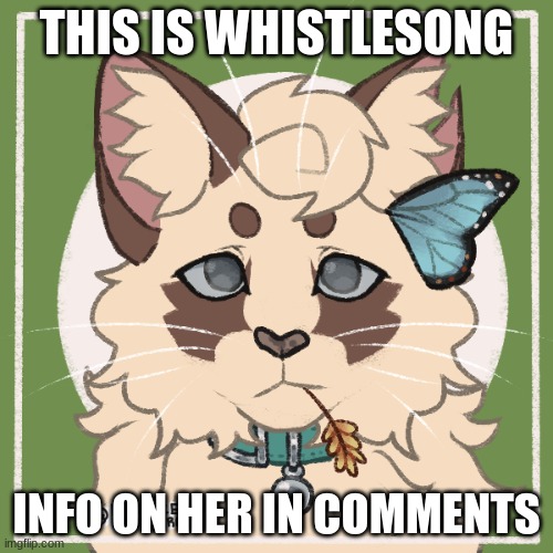 Whistlesong my beloved | THIS IS WHISTLESONG; INFO ON HER IN COMMENTS | made w/ Imgflip meme maker