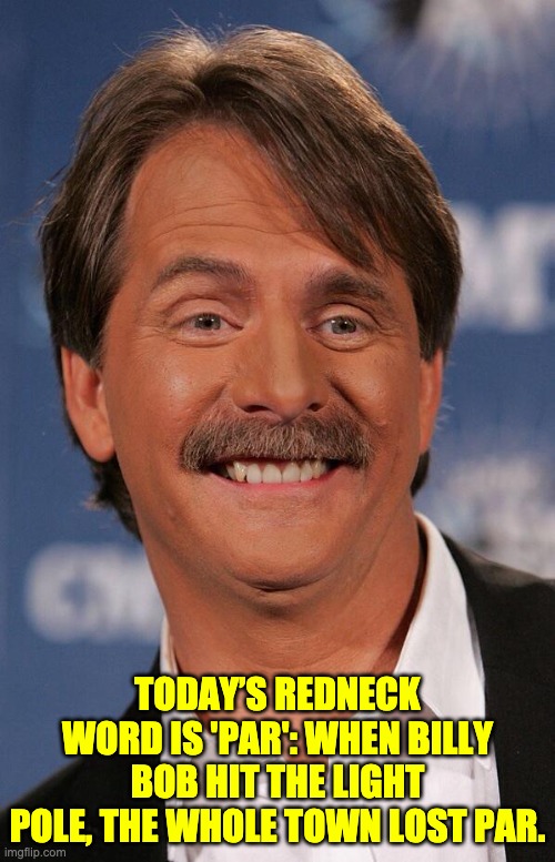 Par | TODAY’S REDNECK WORD IS 'PAR': WHEN BILLY BOB HIT THE LIGHT POLE, THE WHOLE TOWN LOST PAR. | image tagged in jeff foxworthy | made w/ Imgflip meme maker