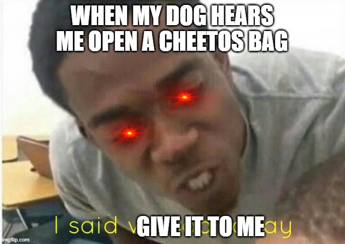 i said we ____ today | WHEN MY DOG HEARS ME OPEN A CHEETOS BAG; GIVE IT TO ME | image tagged in i said we ____ today | made w/ Imgflip meme maker