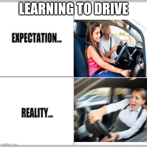 driving | LEARNING TO DRIVE | image tagged in expectation vs reality | made w/ Imgflip meme maker