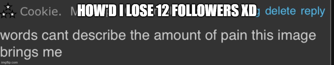 E | HOW'D I LOSE 12 FOLLOWERS XD | image tagged in e | made w/ Imgflip meme maker