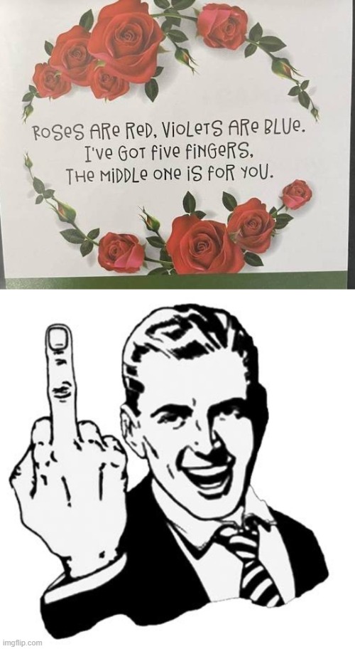 image tagged in memes,1950s middle finger | made w/ Imgflip meme maker