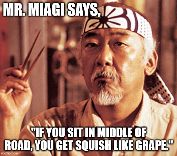 Mr miagi | MR. MIAGI SAYS, "IF YOU SIT IN MIDDLE OF ROAD, YOU GET SQUISH LIKE GRAPE." | image tagged in mr miagi | made w/ Imgflip meme maker