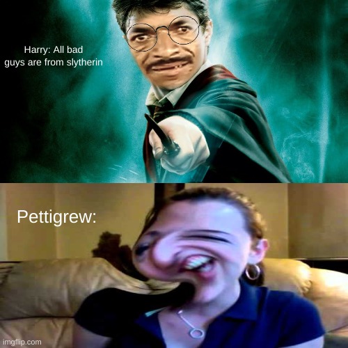 harry the boy who is dumb | Harry: All bad guys are from slytherin; Pettigrew: | image tagged in visible confusion,stupid people | made w/ Imgflip meme maker