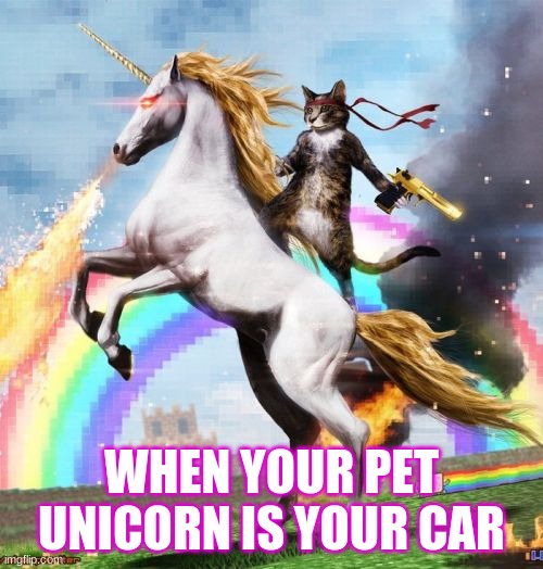 Welcome To The Internets | WHEN YOUR PET UNICORN IS YOUR CAR | image tagged in memes,welcome to the internets | made w/ Imgflip meme maker