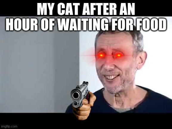 noice | MY CAT AFTER AN HOUR OF WAITING FOR FOOD | image tagged in noice | made w/ Imgflip meme maker