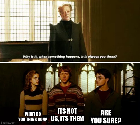 Always you three | ARE YOU SURE? WHAT DO YOU THINK RON? ITS NOT US, ITS THEM | image tagged in always you three | made w/ Imgflip meme maker