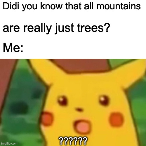 Surprised Pikachu | Didi you know that all mountains; are really just trees? Me:; ?????? | image tagged in memes,surprised pikachu | made w/ Imgflip meme maker