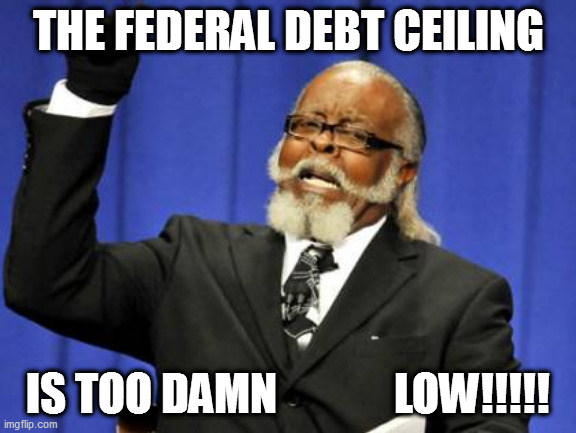 Ceiling Fan | THE FEDERAL DEBT CEILING; IS TOO DAMN             LOW!!!!! | image tagged in memes,too damn high | made w/ Imgflip meme maker