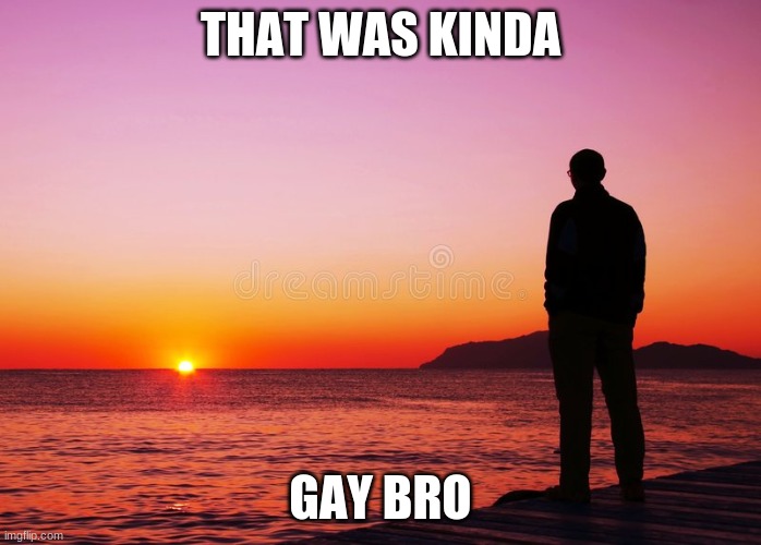 thats kinda gay bro | THAT WAS KINDA; GAY BRO | image tagged in memes | made w/ Imgflip meme maker