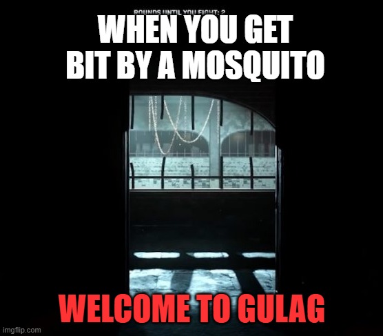 COD Gulag | WHEN YOU GET BIT BY A MOSQUITO; WELCOME TO GULAG | image tagged in cod gulag | made w/ Imgflip meme maker