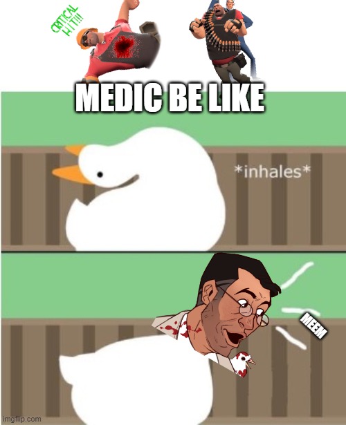 medic be like | MEDIC BE LIKE; MEEM | image tagged in untitled goose game honk | made w/ Imgflip meme maker