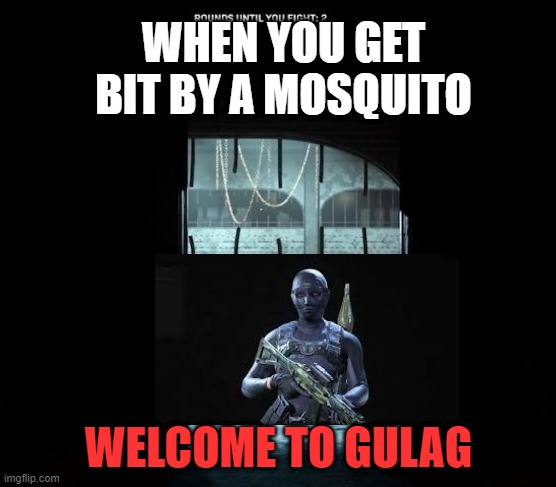 COD Gulag | WHEN YOU GET BIT BY A MOSQUITO; WELCOME TO GULAG | image tagged in cod gulag | made w/ Imgflip meme maker