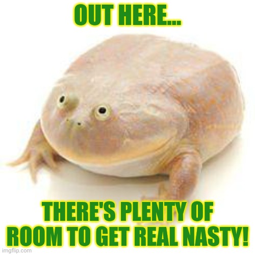 Wednesday Frog Blank | OUT HERE... THERE'S PLENTY OF ROOM TO GET REAL NASTY! | image tagged in wednesday frog blank | made w/ Imgflip meme maker