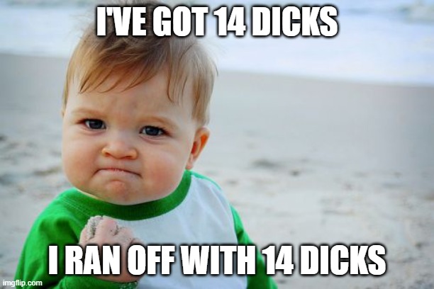 Success Kid Original | I'VE GOT 14 DICKS; I RAN OFF WITH 14 DICKS | image tagged in memes,success kid original | made w/ Imgflip meme maker