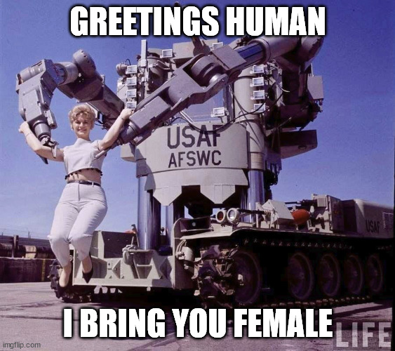 bring-you-female |  GREETINGS HUMAN; I BRING YOU FEMALE | image tagged in robots,robot | made w/ Imgflip meme maker