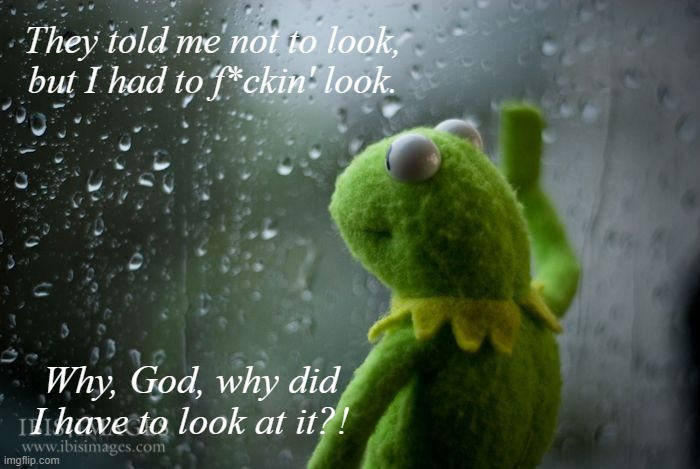 kermit window | They told me not to look, but I had to f*ckin' look. Why, God, why did I have to look at it?! | image tagged in kermit window | made w/ Imgflip meme maker