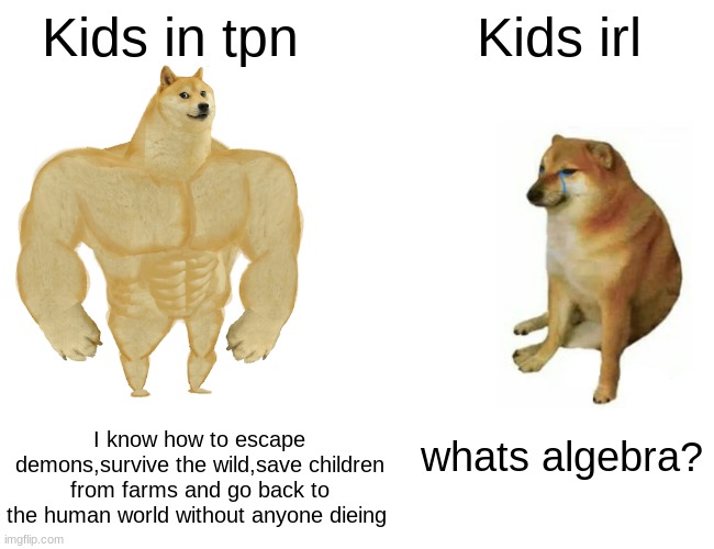 Its true and you know it |  Kids in tpn; Kids irl; I know how to escape demons,survive the wild,save children from farms and go back to the human world without anyone dieing; whats algebra? | image tagged in memes,buff doge vs cheems,kids irl,tpn,demons,algebra | made w/ Imgflip meme maker