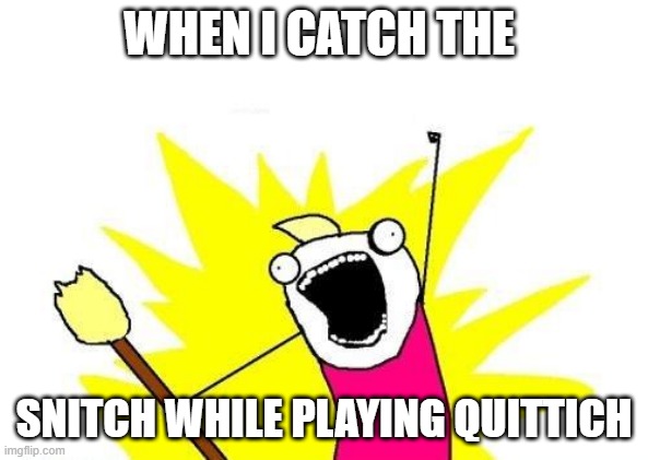 X All The Y Meme | WHEN I CATCH THE; SNITCH WHILE PLAYING QUITTICH | image tagged in memes,x all the y | made w/ Imgflip meme maker