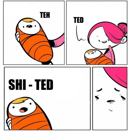 Babies first words nightmare for mum | TEH; TED; SHI - TED | image tagged in baby's first word,shit,head | made w/ Imgflip meme maker
