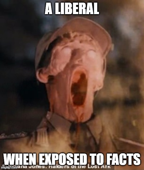 The Typical Liberal Meltdown. | A LIBERAL; WHEN EXPOSED TO FACTS | image tagged in indiana jones,facts,stupid liberals | made w/ Imgflip meme maker