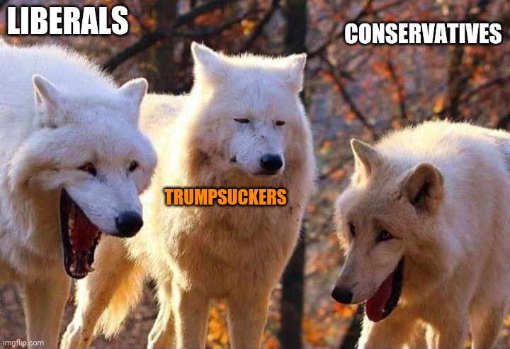 Laughing wolf | LIBERALS TRUMPSUCKERS CONSERVATIVES | image tagged in laughing wolf | made w/ Imgflip meme maker