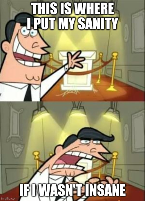 no | THIS IS WHERE I PUT MY SANITY; IF I WASN'T INSANE | image tagged in memes,this is where i'd put my trophy if i had one | made w/ Imgflip meme maker