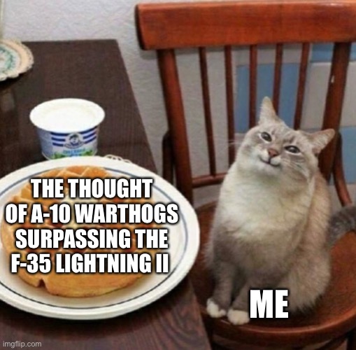 Yas |  THE THOUGHT OF A-10 WARTHOGS SURPASSING THE F-35 LIGHTNING II; ME | image tagged in cat likes their waffle | made w/ Imgflip meme maker