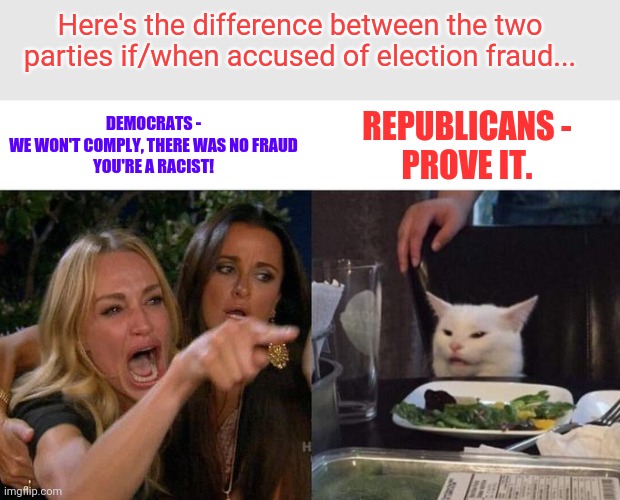 Woman Yelling At Cat | Here's the difference between the two parties if/when accused of election fraud... DEMOCRATS -
WE WON'T COMPLY, THERE WAS NO FRAUD
YOU'RE A RACIST! REPUBLICANS -
 PROVE IT. | image tagged in memes,woman yelling at cat | made w/ Imgflip meme maker