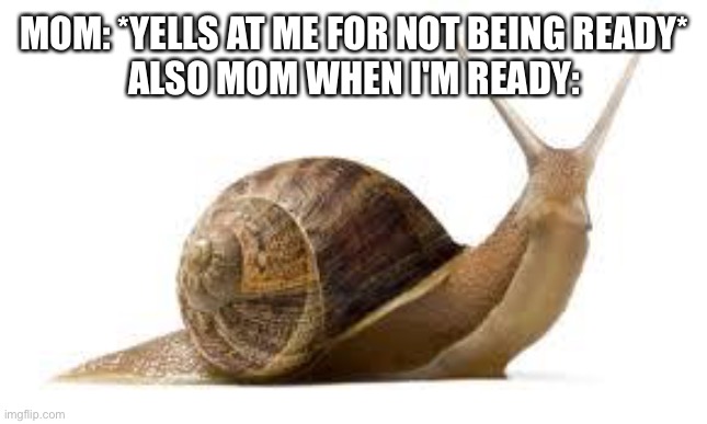 SNAIL | MOM: *YELLS AT ME FOR NOT BEING READY*
ALSO MOM WHEN I'M READY: | image tagged in snail | made w/ Imgflip meme maker