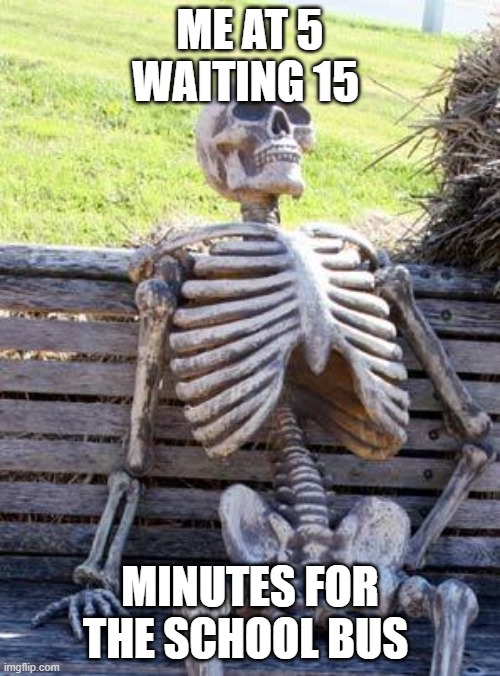 Waiting Skeleton | ME AT 5 WAITING 15; MINUTES FOR THE SCHOOL BUS | image tagged in memes,waiting skeleton | made w/ Imgflip meme maker